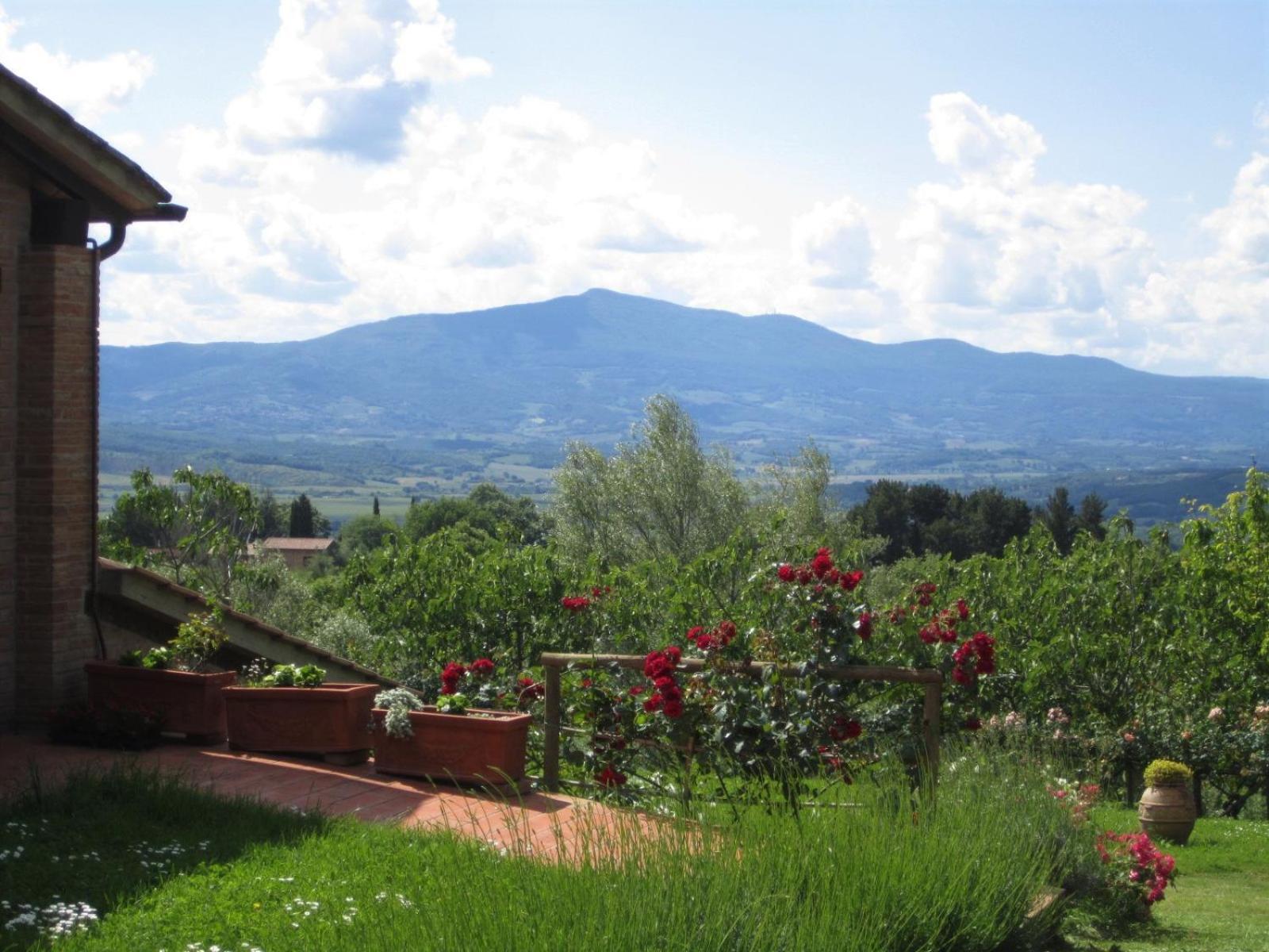Agriturismo Cornieto Monteleone d'Orvieto Luaran gambar