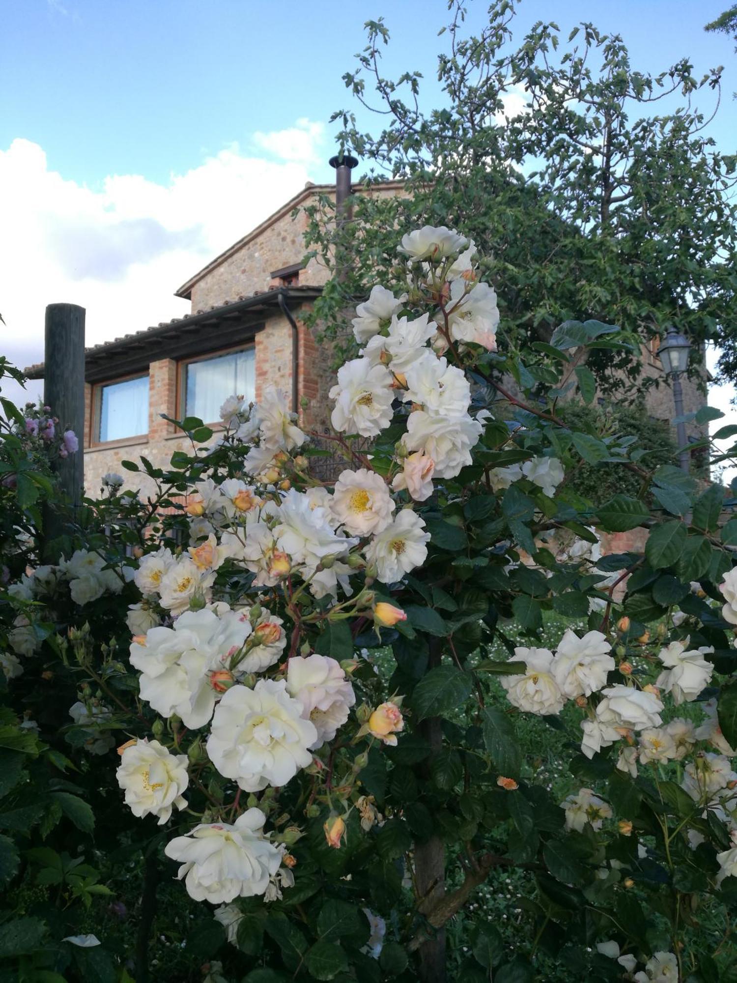 Agriturismo Cornieto Monteleone d'Orvieto Luaran gambar