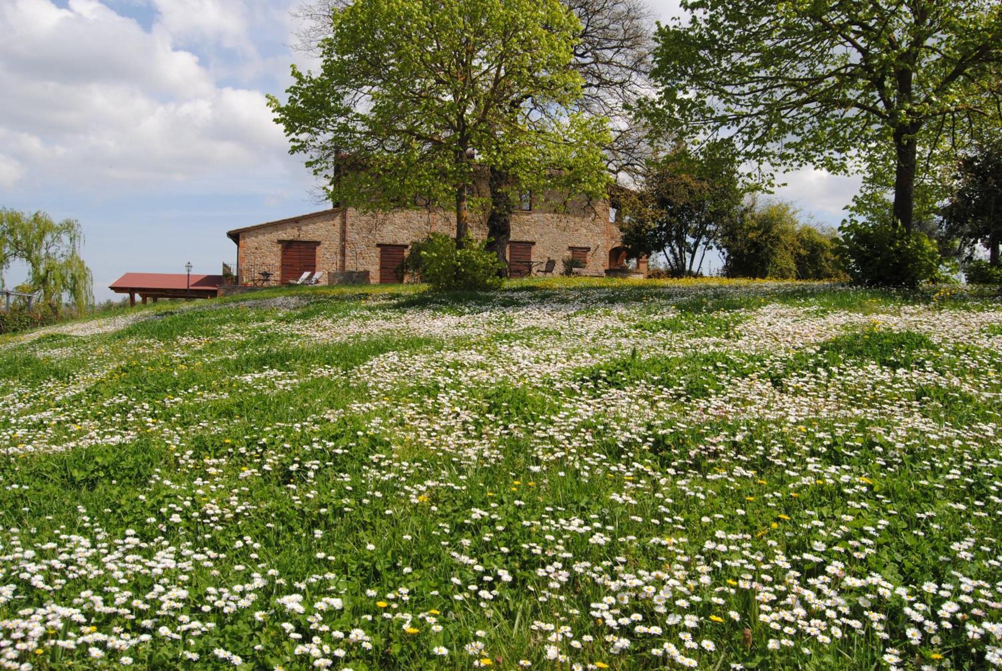 Agriturismo Cornieto Monteleone d'Orvieto Luaran gambar