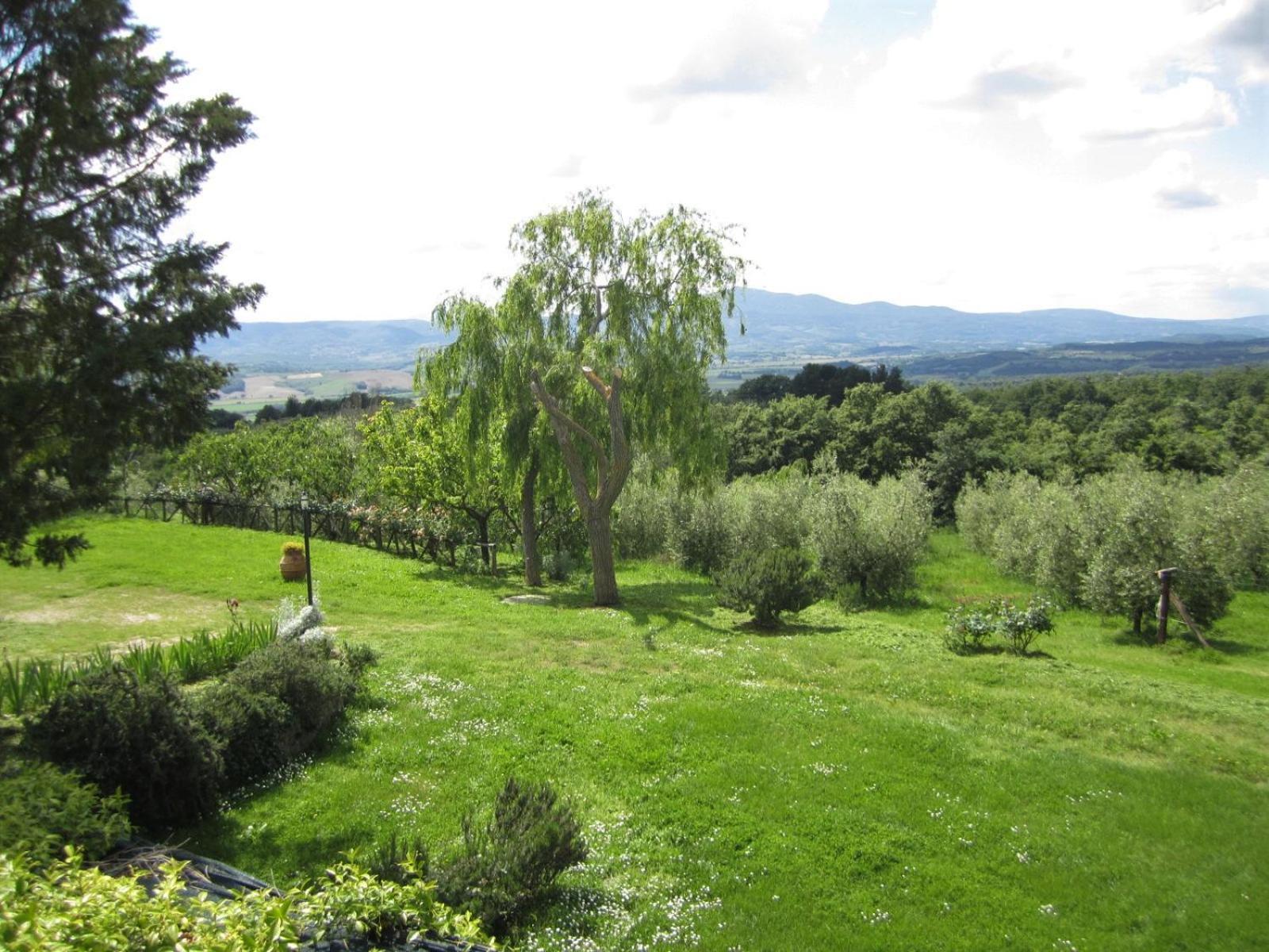 Agriturismo Cornieto Monteleone d'Orvieto Luaran gambar